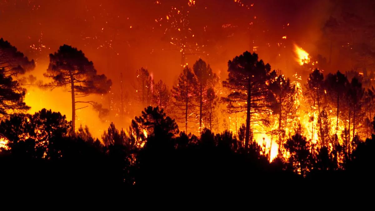 Villaviciosa se encuentra declarada como zona de alto riesgo 