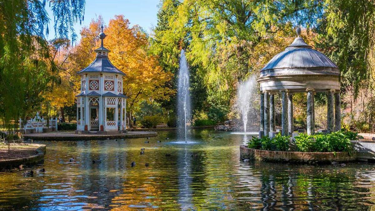 El ayuntamiento ha aprobado la presentación de la candidatura para el programa Tree Cities of the World