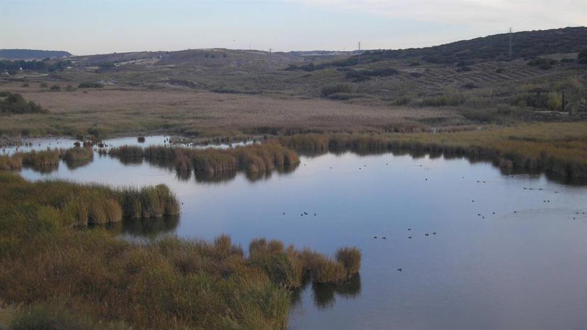 El pleno de la corporación ha aprobado por unanimidad la propuesta sobre la renuncia