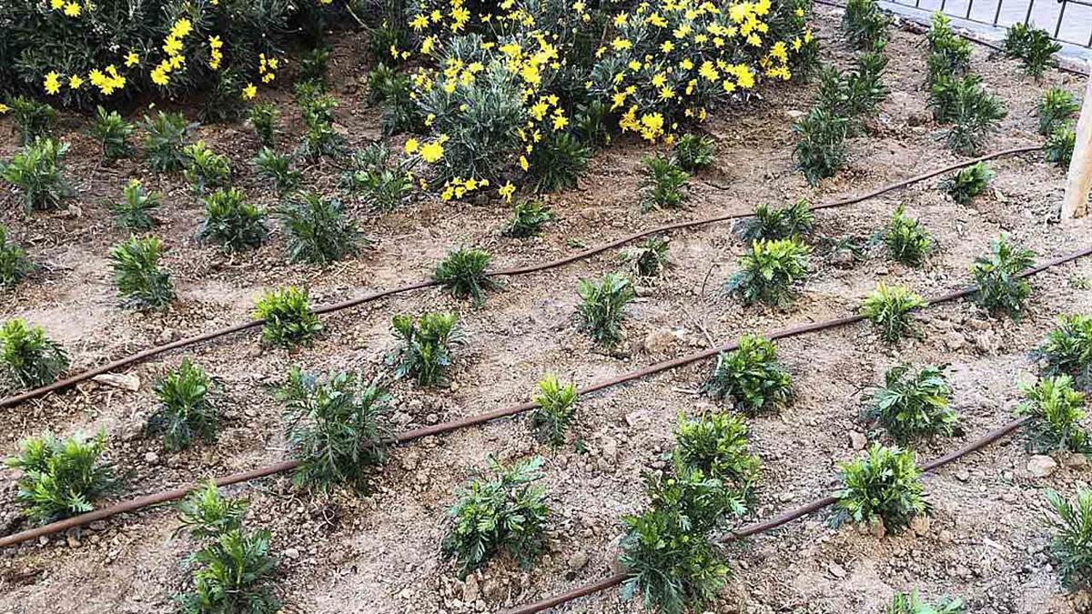 Los vecinos podrán disfrutar de más espacios públicos 