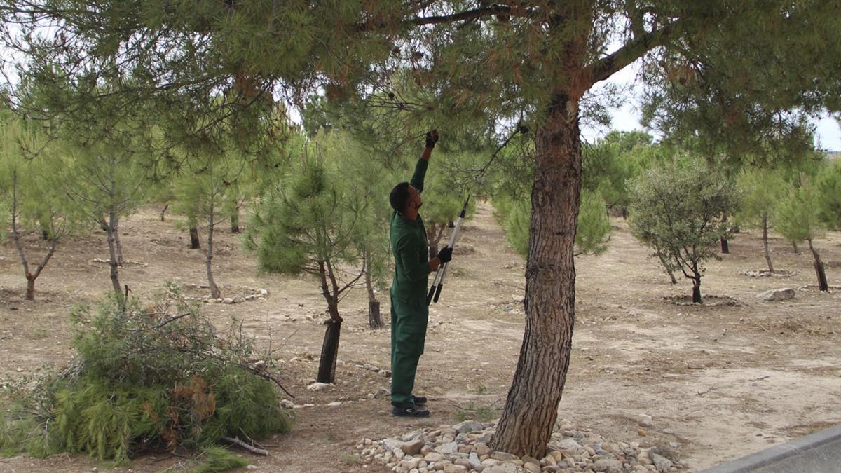 Con el fin de prevenir las situaciones de exclusión social 