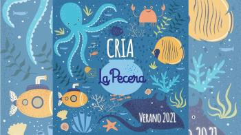 La programación recoge clases de yoga, talleres artísticos y otros muchos cursos 