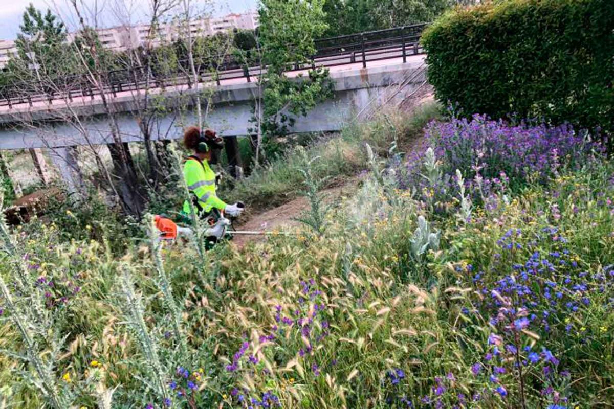 El consistorio ha decidido retomar los trabajos de desbroce aprovechando la desescalada