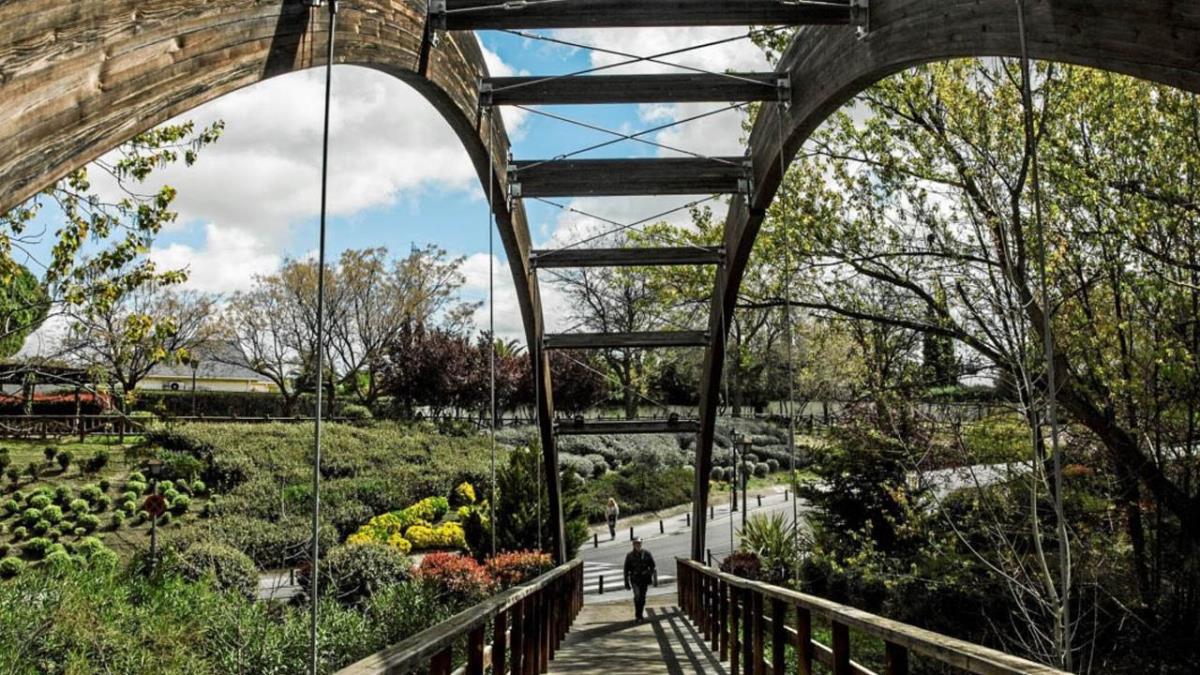 La FAO y la Fundación Día del Árbol otorgan este galardón al municipio por segundo año consecutivo