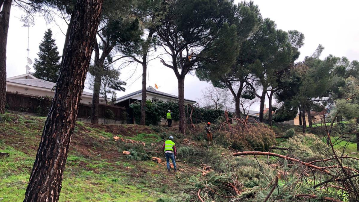 Un operativo de 43 personas participa en las labores de reacondicionamiento 
