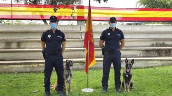 Los canes ya han realizado su formación para poder ser guías