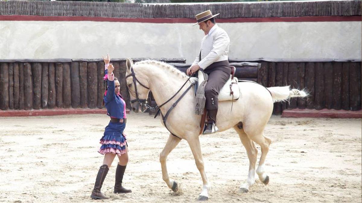 Tras la pandemia, el espectáculo de danza ecuestre "Arte y pasión… Sueños a caballo" vuelve con aire renovado bajo el nombre "Renacer"
