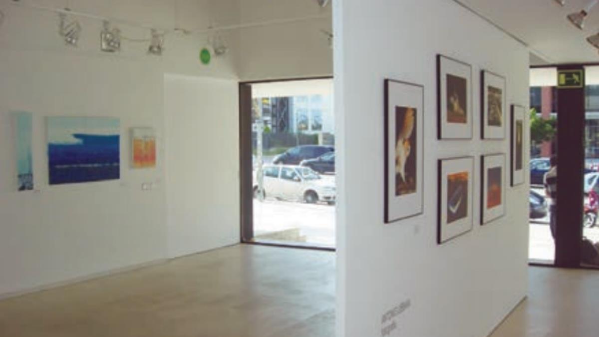 La ciudad abre un plazo de solicitudes para hacer uso de salas de exposición, con preferencia por autores locales