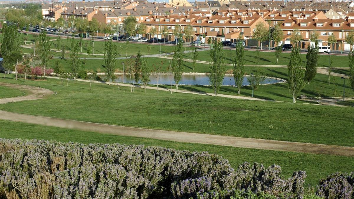 El PSOE organiza una actividad medioambiental en el Parque de Valdegrullas  