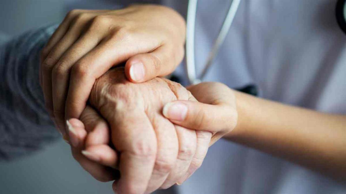 El Consejo de Gobierno aprueba el acuerdo para poner en marcha esta iniciativa en la que será fundamental la nueva Historia Social Única