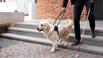 Esta cantidad permite financiar un total de 1.454 plazas