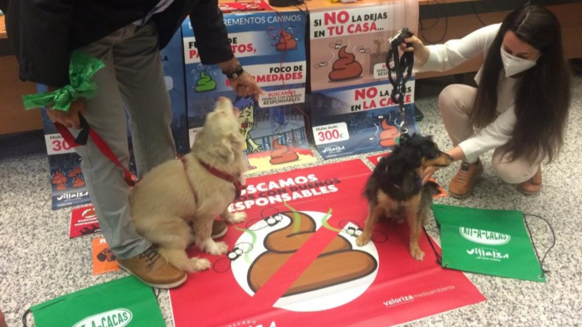 Collado Villalba lanza una campaña sobre "la tenencia responsable y recogida de excrementos caninos"