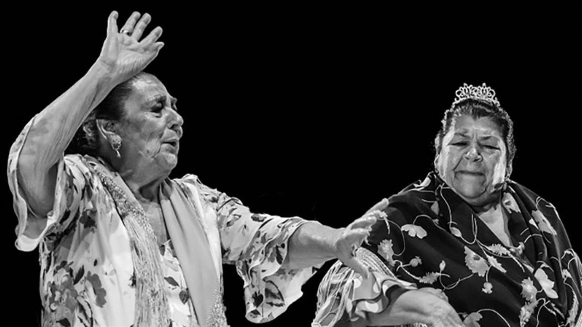 Con una gran cantidad de actividades para todos los públicos