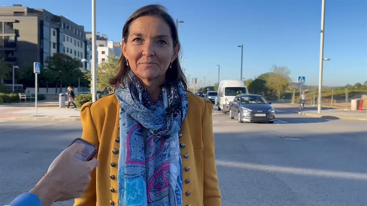 El PSOE reclama más accesos y líneas de autobús para este barrio de Madrid