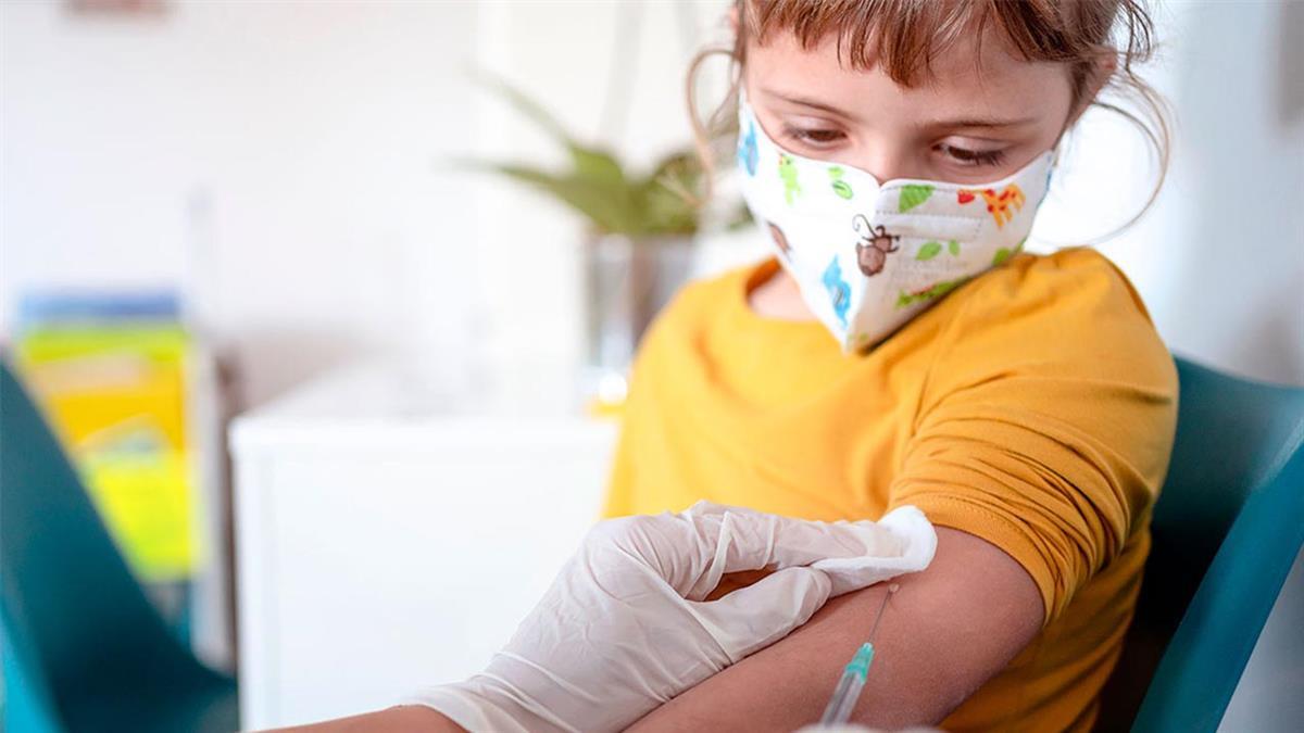 ¿Cuándo y cómo pedir cita? Te lo contamos 