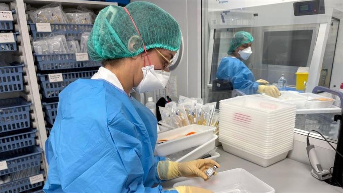 Un estudio con pacientes de cáncer de pulmón identifica un posible marcador que podría ayudar a predecir la respuesta al tratamiento y mejorar las terapias 