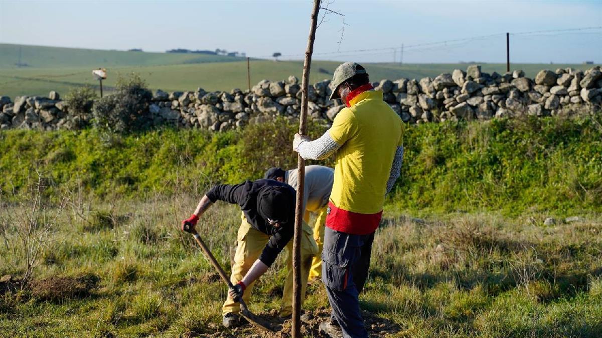 Esta infraestructura ha sido fundamental para levantar una red de caminos de paseo y disfrute para los ciudadanos