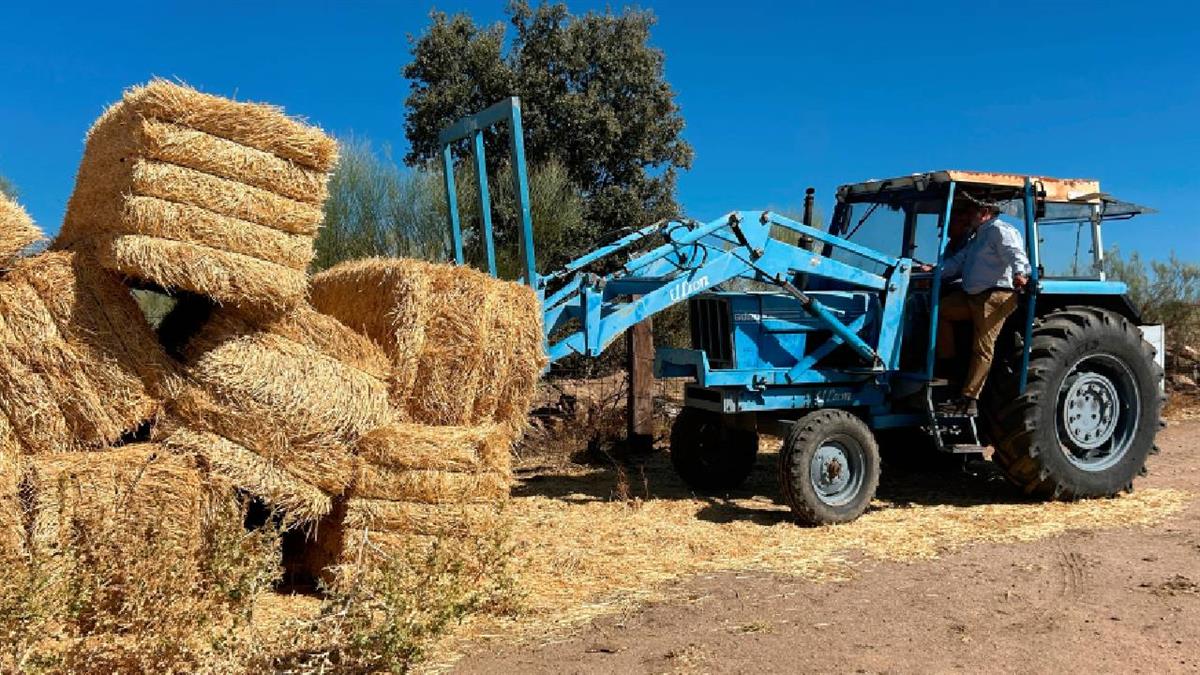La Comunidad de Madrid reparte casi medio millón de kilos de forraje para paliar las consecuencias
