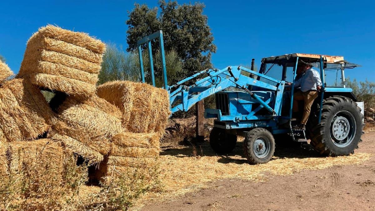 La Comunidad de Madrid reparte casi medio millón de kilos de forraje para paliar las consecuencias