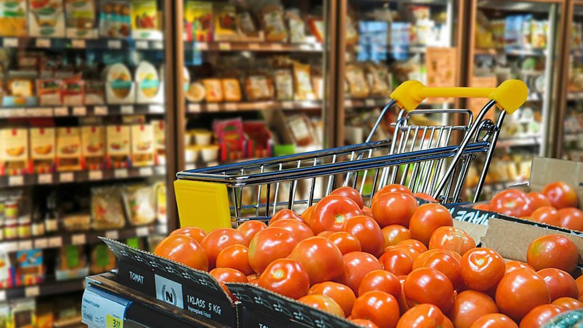 
Los bonos tendrán una cuantía máxima de 500 euros por familia para comprar productos de primera necesidad en establecimientos de nuestra localidad
