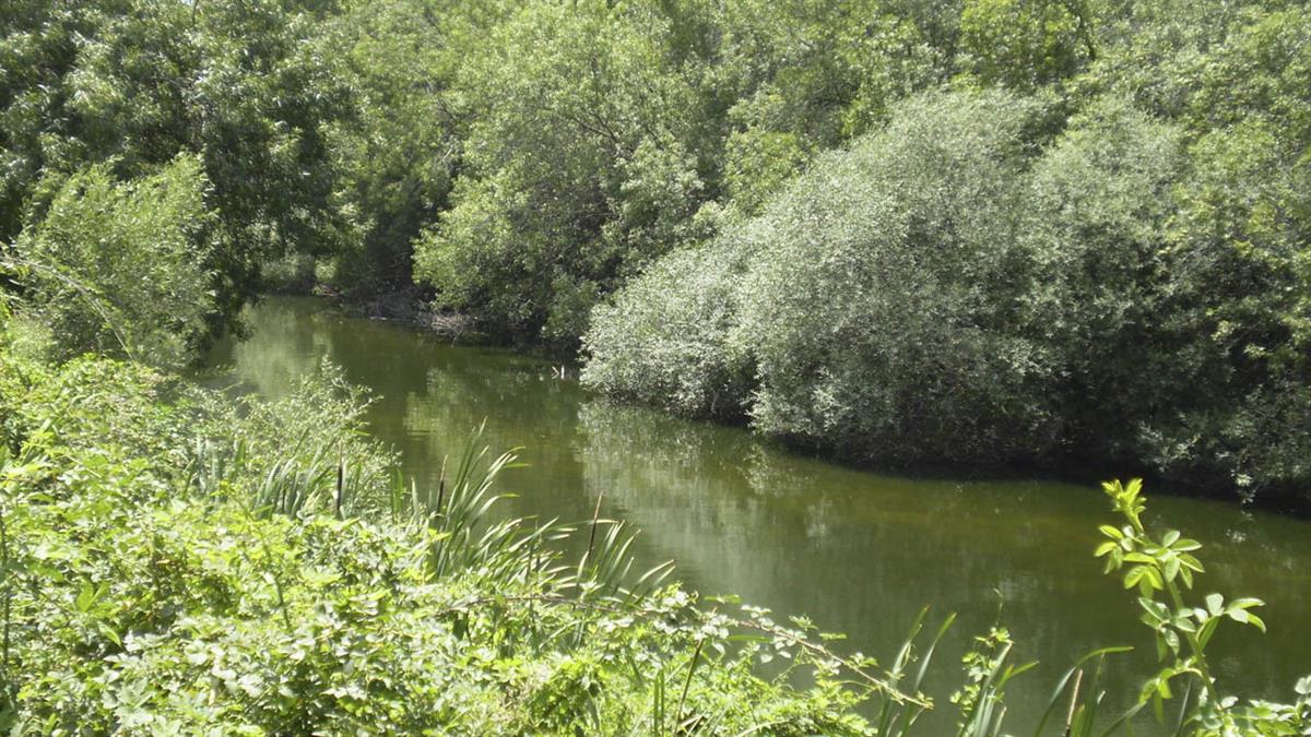 Se exige a varios municipios el pago de los trabajos de limpieza del cauce del Guadarrama