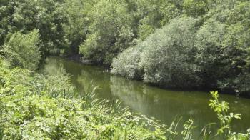 Se exige a varios municipios el pago de los trabajos de limpieza del cauce del Guadarrama