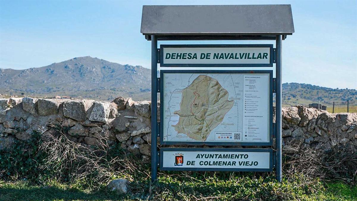 Las Noches de la Dehesa pretenden dar a conocer la belleza de la naturaleza por las noches 