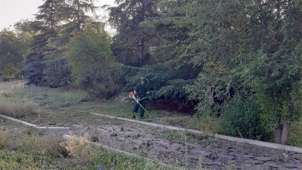 La alcaldía recuerda vallar y mantener limpios los solares privados