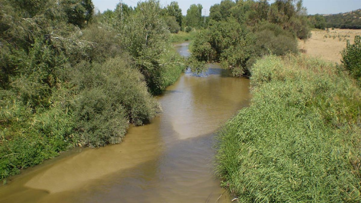 Se limpian y recogen los residuos en su término municipal, evitando cualquier tipo de vertido
