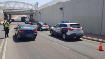 Agentes y perros de la Unidad Canina se hacen con 49 incautaciones de estupefacientes