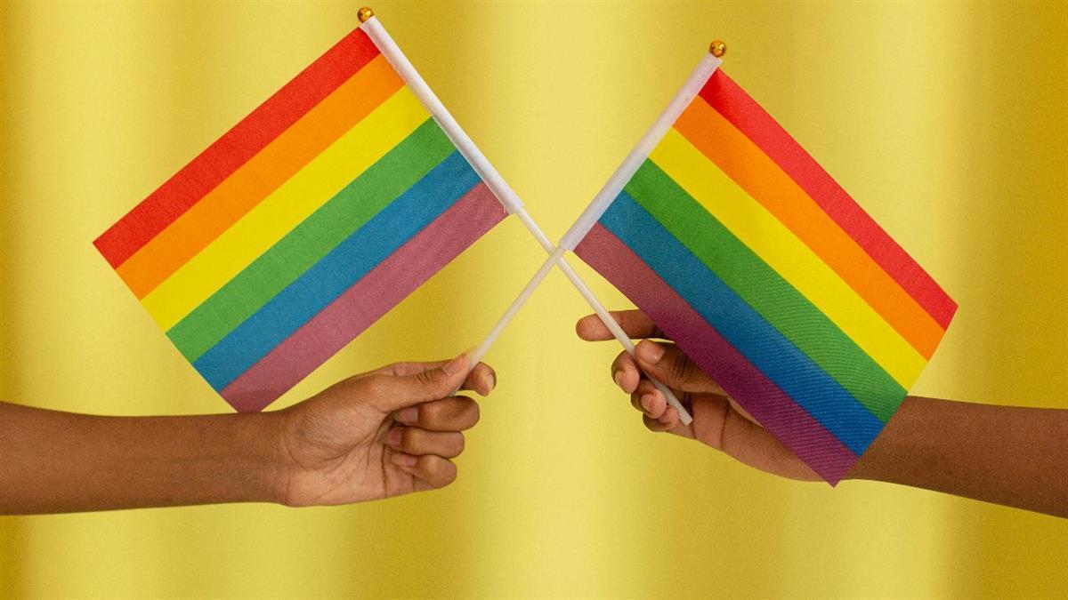 Los socialistas han decidido colocar la enseña en la sede de su Grupo Municipal del consistorio leganense