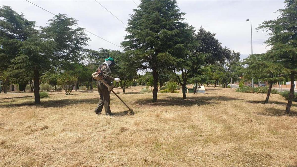 Un bando comunica la obligatoriedad de desbrozar los terrenos