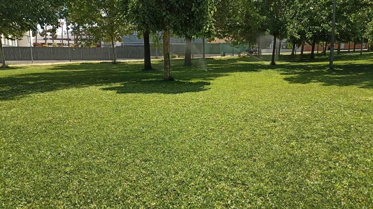 El Gobierno Municipal responde a las declaraciones del PSOE respecto al estado del barrio 