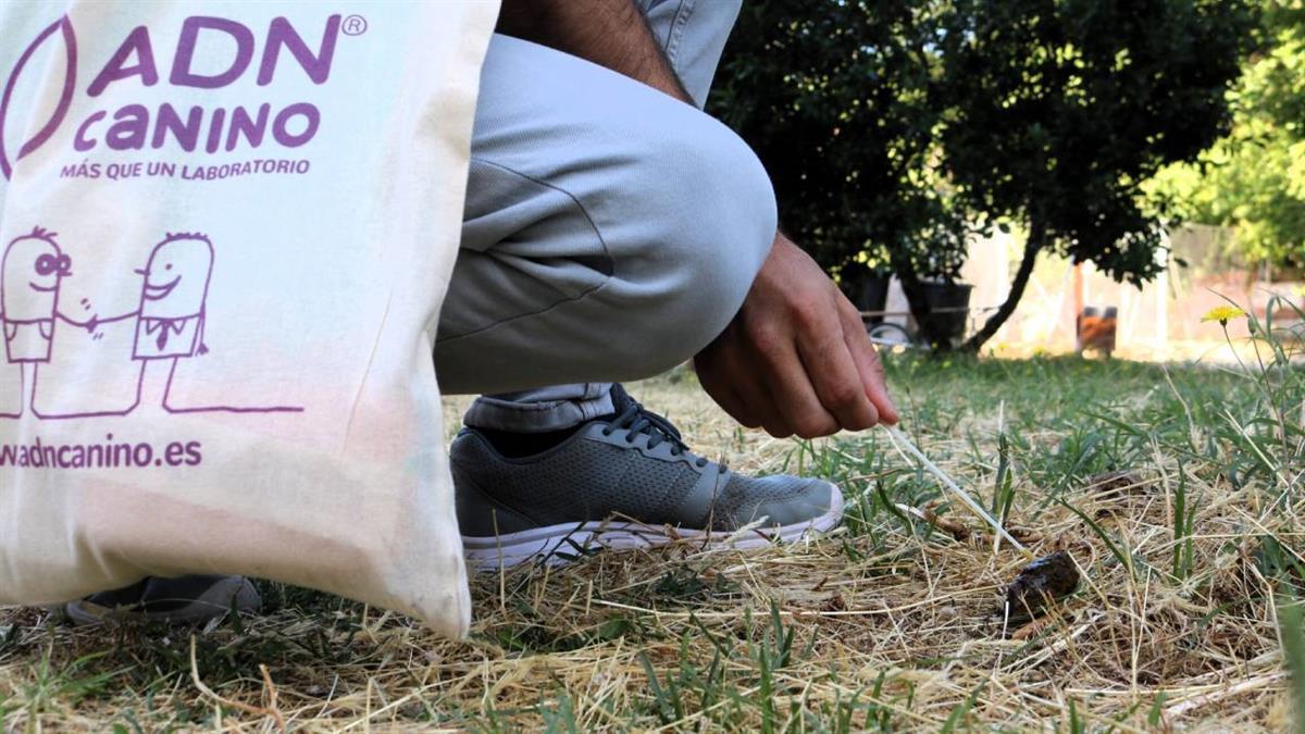 Próximamente se acometerán en torno del Val o el Olivar y las Sedas.