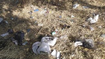 Los vecinos denuncian la falta de limpieza y salubridad del municipio