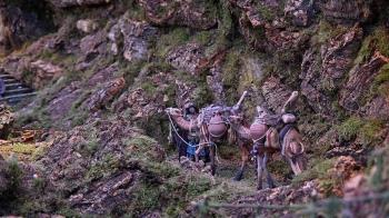 Tras 8.000 horas de trabajo, la Asociación de Belenistas logra una asistencia histórica