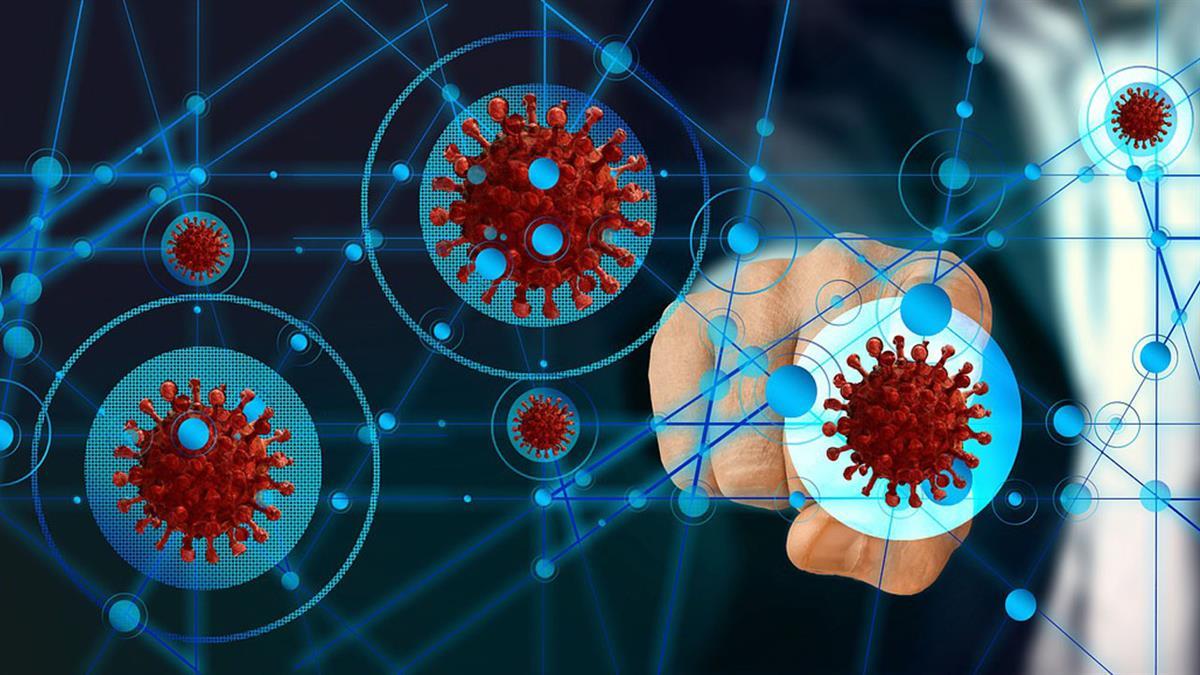 La empresa Savana se ve preparada para colaborar con la iniciativa sanitaria de España