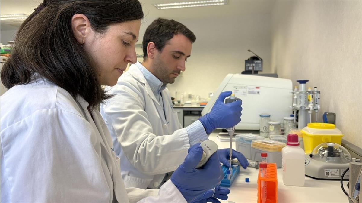 La nueva fundación, prevista para 2027, integrará los hospitales de Alcorcón, Fuenlabrada, Móstoles y Leganés junto a la Universidad Rey Juan Carlos