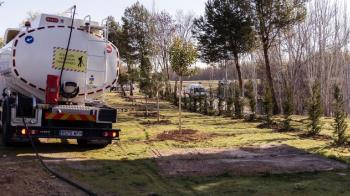 El Ayuntamiento ha plantado 115 árboles frente a la planta de tratamiento de aguas residuales en Federico Moreno Torroba