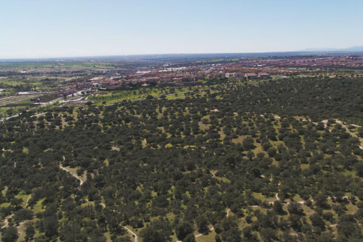 El regidor declina el proyecto de la Comunidad de Madrid, coincidiendo con las alegaciones presentadas por el PSOE