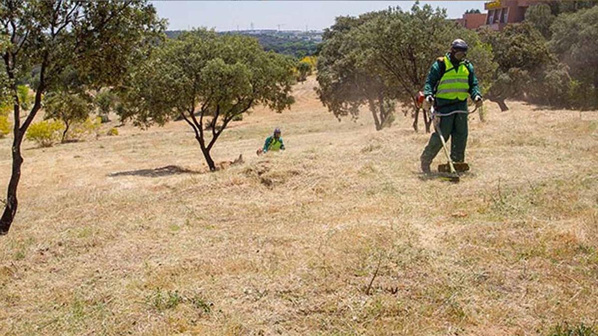 Los servicios técnicos municipales realizarán inspecciones periódicas 