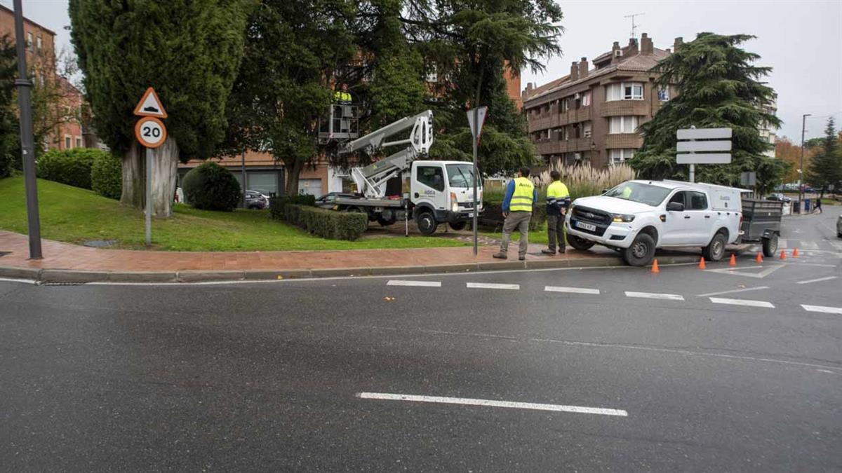 Para controlar la proliferación de estos animales