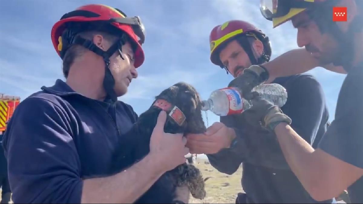 Bomberos de la Comunidad de Madrid lograron rescatarla tras 6 de horas de complejidad 