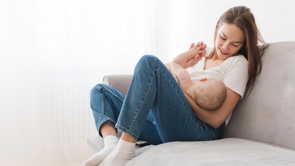 Así lo han anunciado hoy en el Consejo de Gobierno