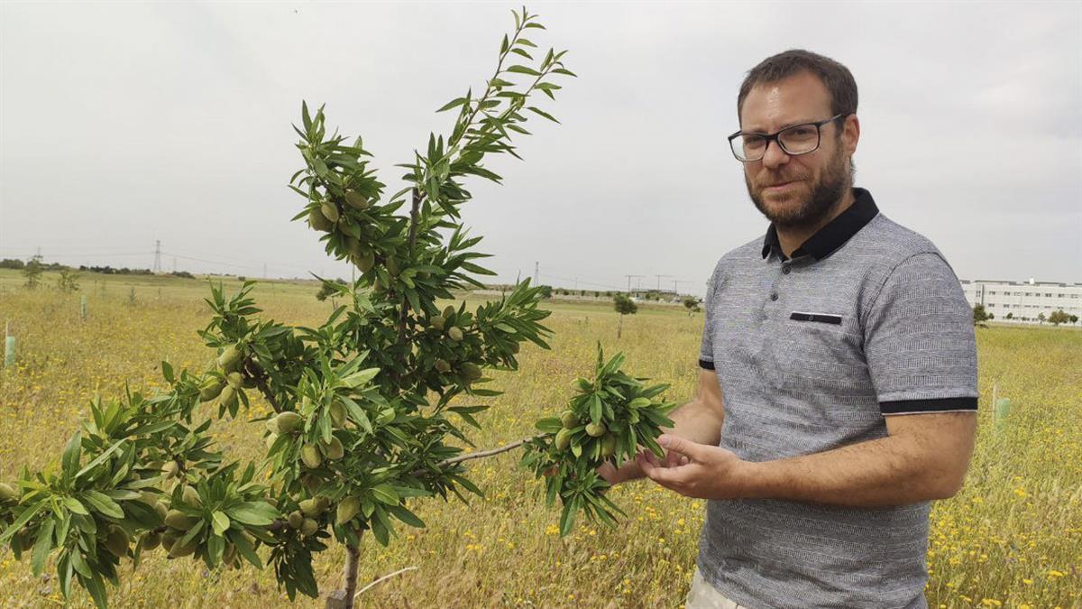 Día de la Tortilla, paseo por la zona reforestada y actividades infantiles