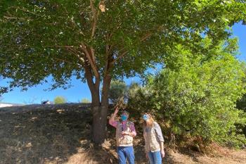 El trabajo en la zona quiere mejorar el ocio natural de los madrileños