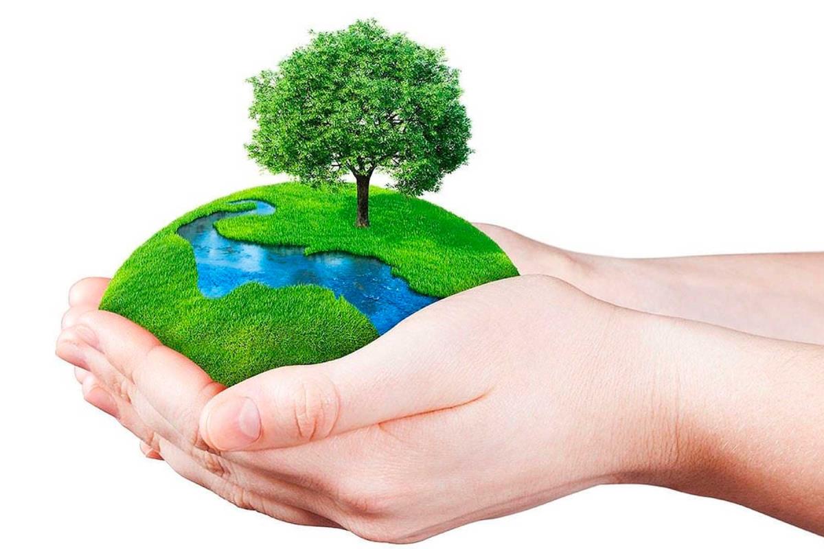 Imagínate recibir regalos que ayuden a proteger el medio ambiente