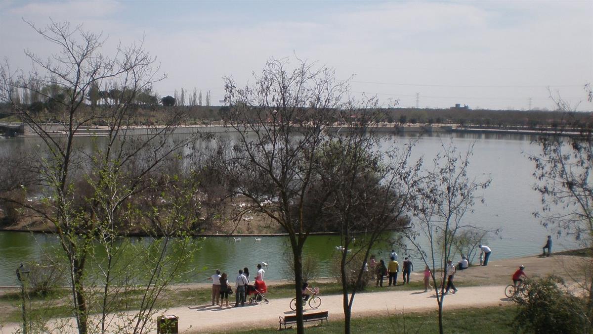 Afecta a un centenar de aves silvestres encontradas entre el 16 y 18 de abril