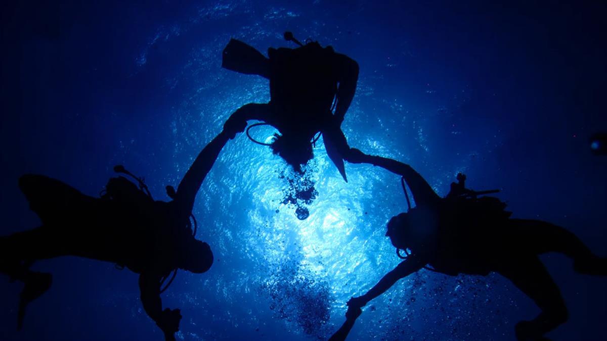 Descubre grandes tesoros bajo el mar