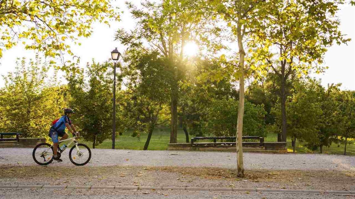 La capital revalida, por cuarto año consecutivo, la calificación A en el ranking de Carbon Disclosure Project